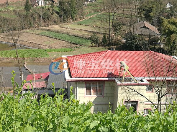 重庆姜先生家的合成树脂瓦屋顶