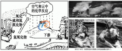 2019年新型屋面瓦防腐性能的重要性-合成树脂瓦