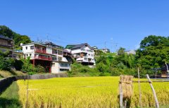 “标致乡村”建设屋面建材——合成树脂瓦